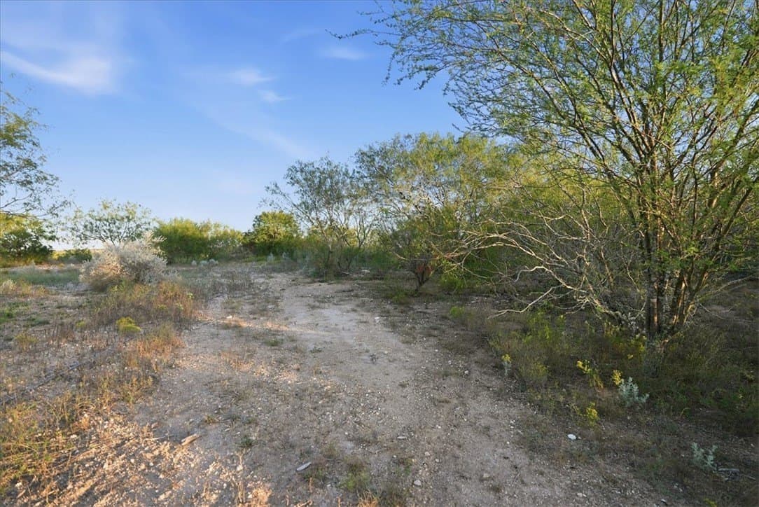39.23 acres in Duval County - photo 16