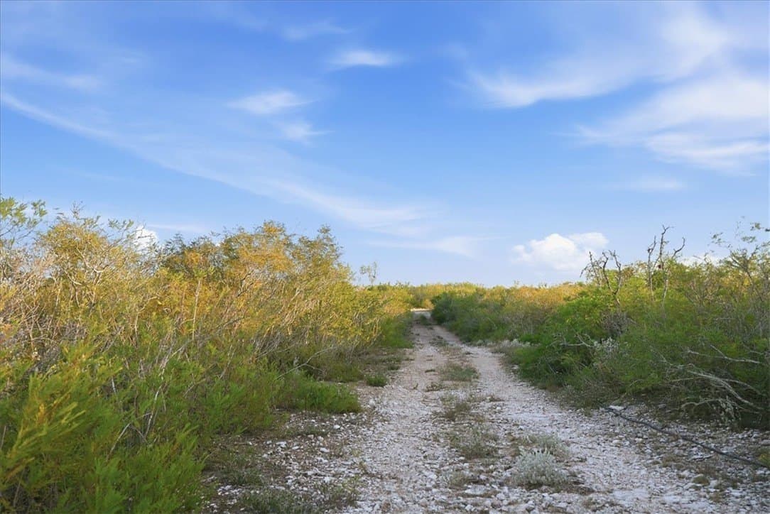 39.23 acres in Duval County - photo 7