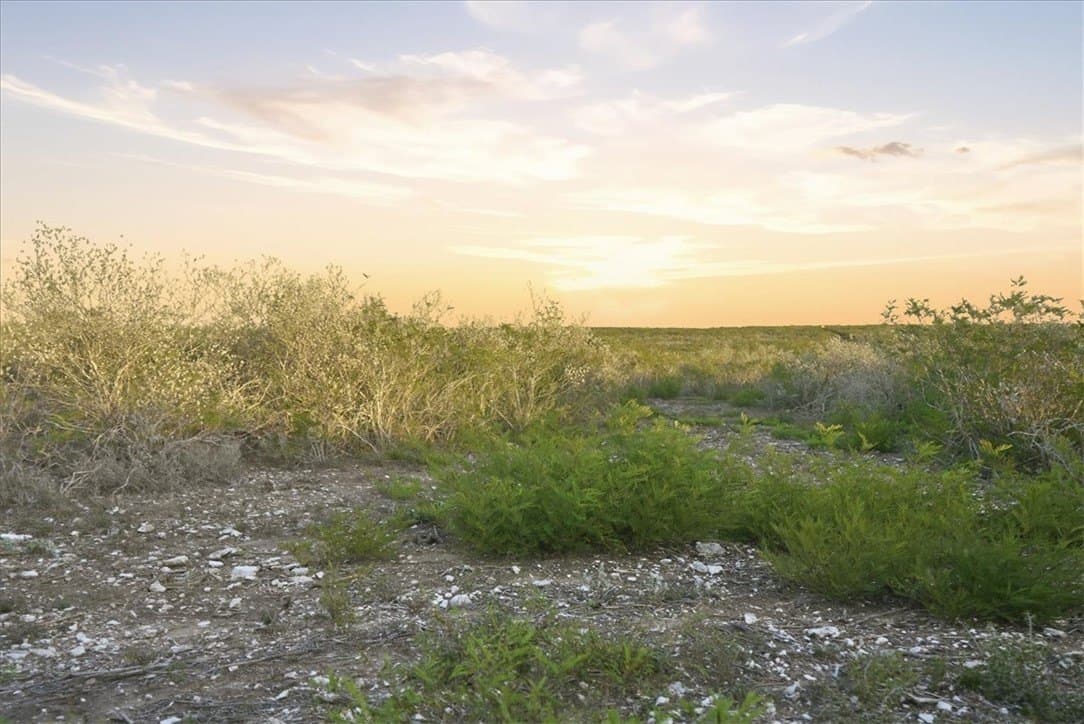 39.23 acres in Duval County - photo 9