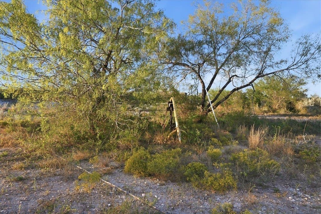 39.23 acres in Duval County - photo 13