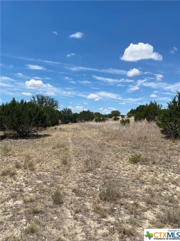 8.71 acres in Burnet County - photo 9