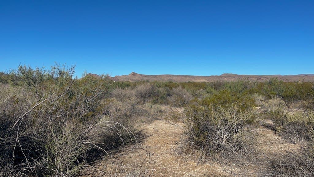 80 acres in Brewster County - photo 10