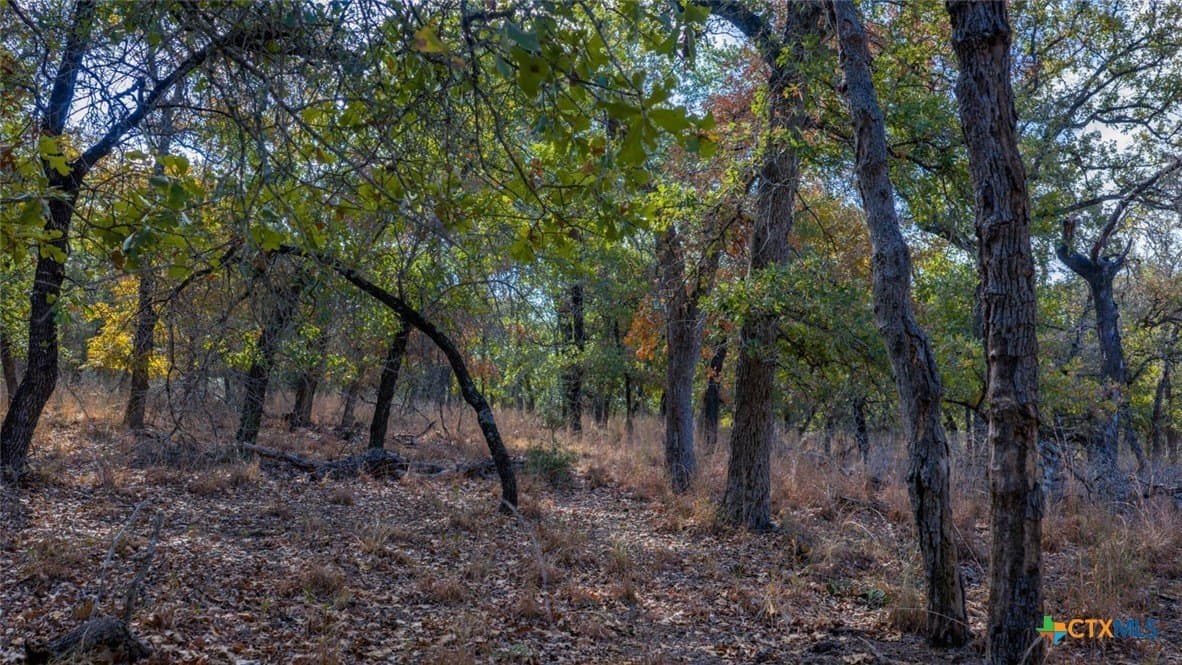 10 acres in Guadalupe County - photo 9