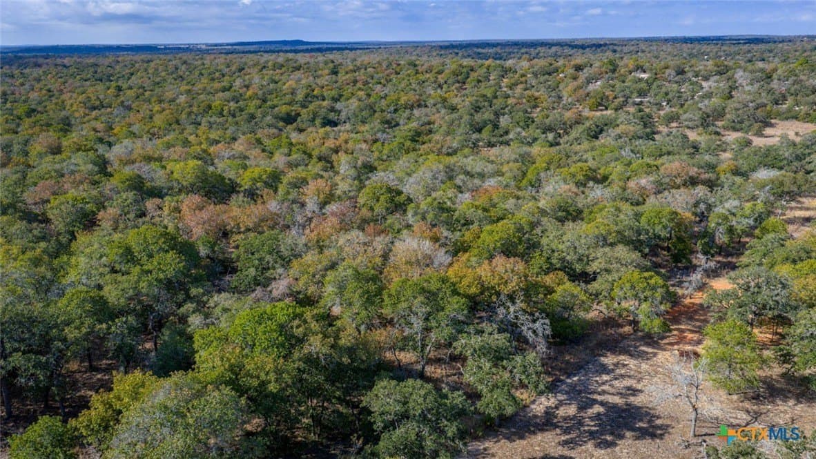 10 acres in Guadalupe County - photo 17