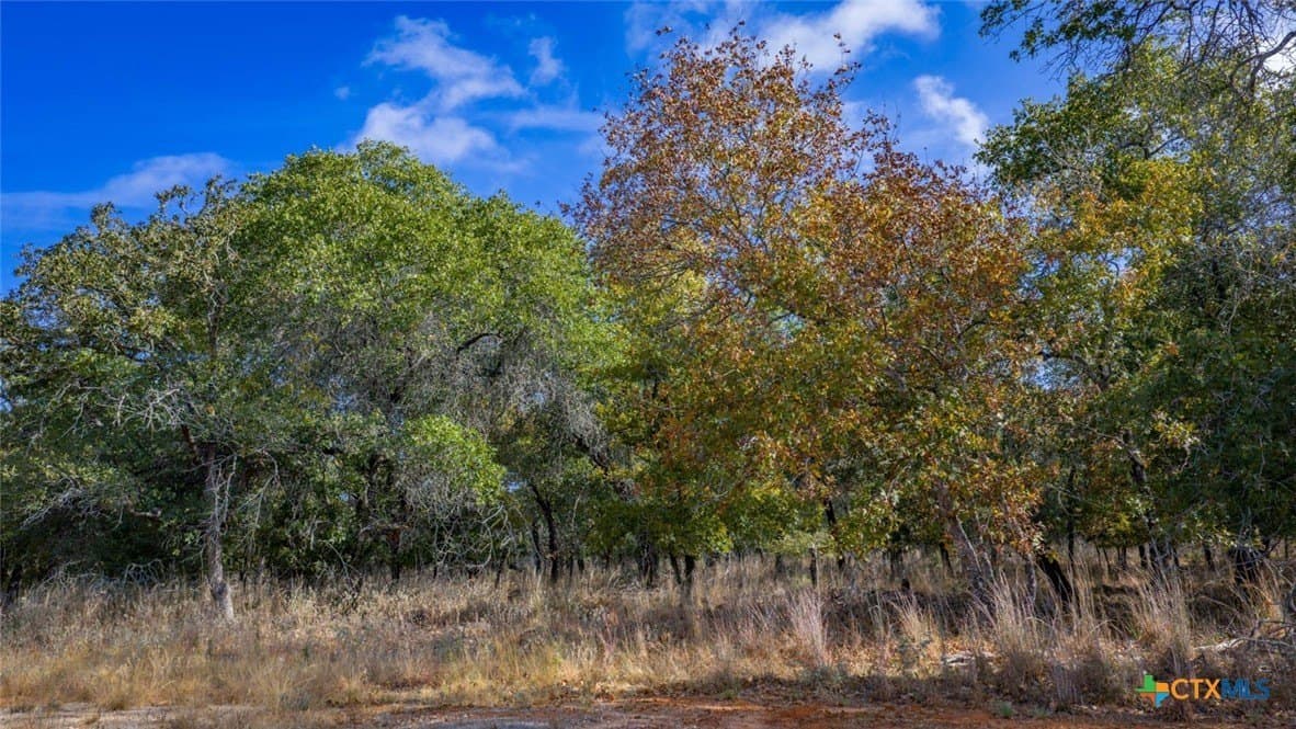 10 acres in Guadalupe County - photo 10