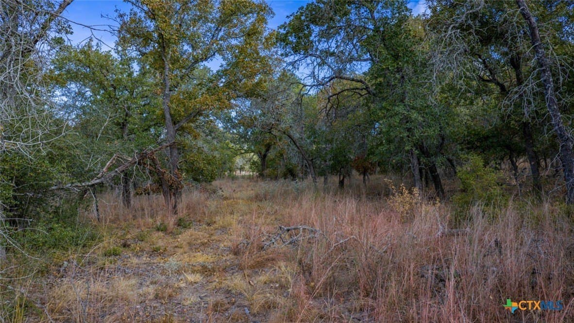 10 acres in Guadalupe County - photo 4