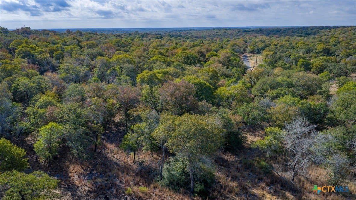 10 acres in Guadalupe County - photo 16