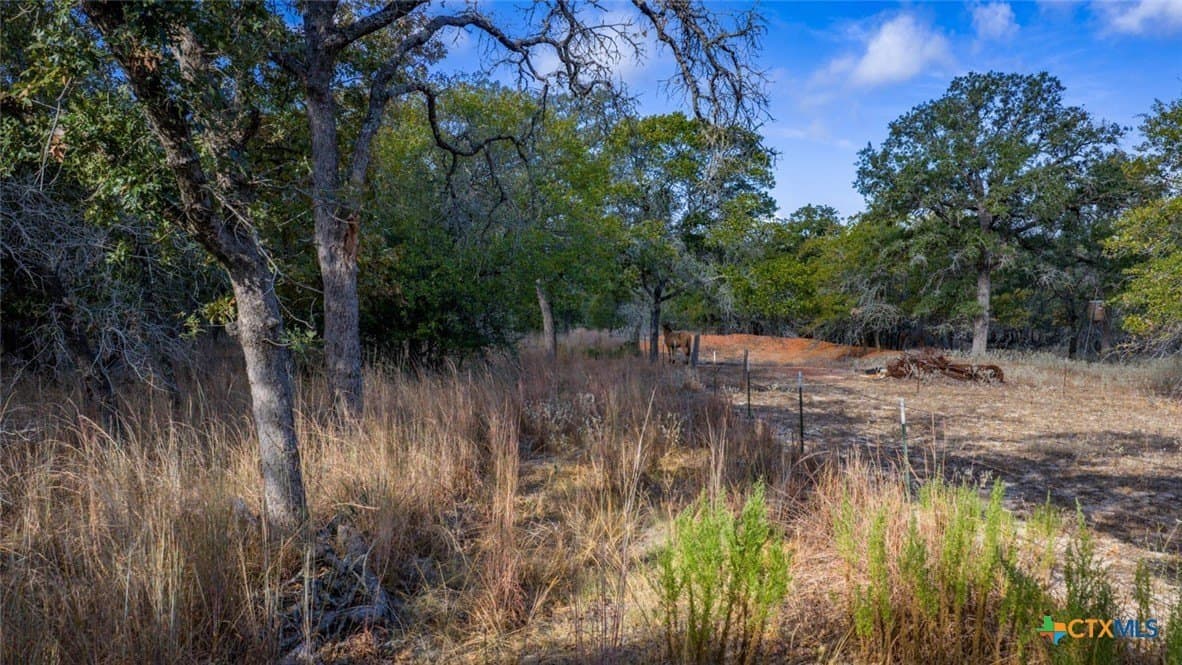 10 acres in Guadalupe County - photo 6