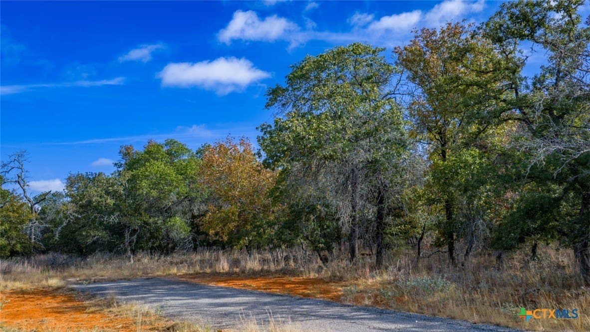 10 acres in Guadalupe County - photo 13