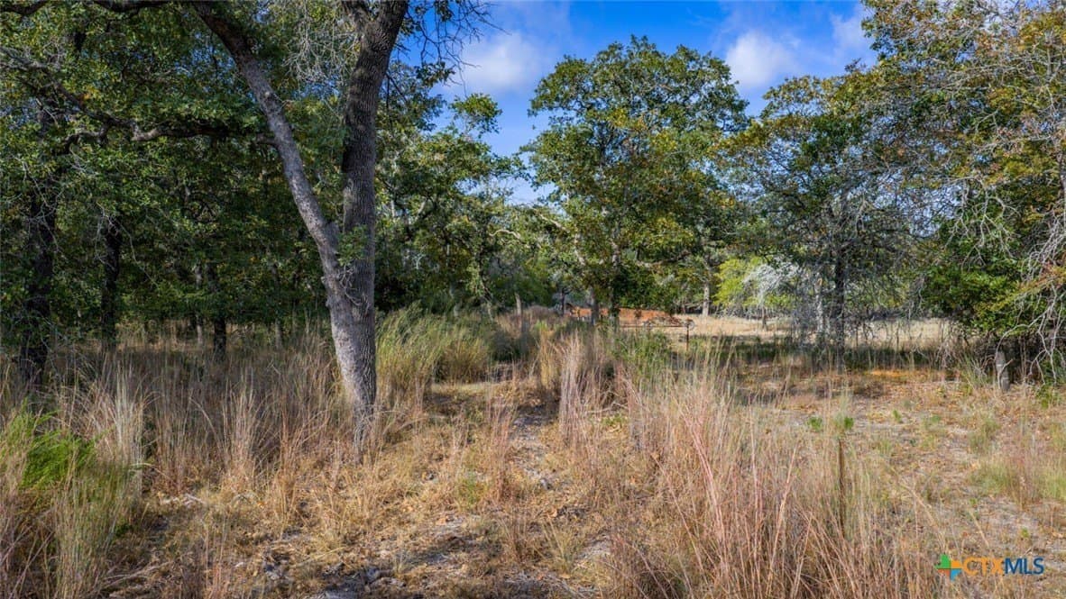 10 acres in Guadalupe County - photo 7