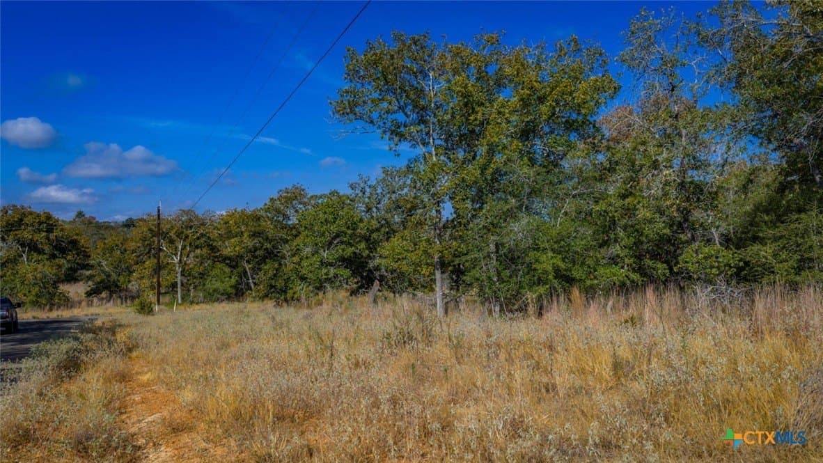 10 acres in Guadalupe County - photo 12