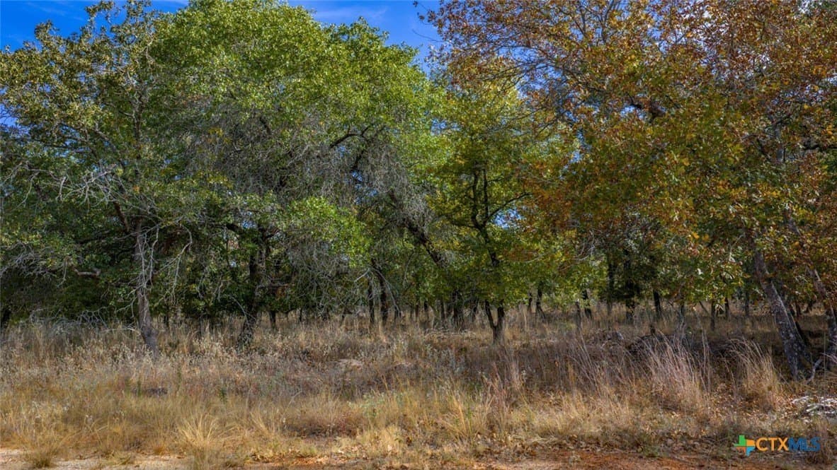 10 acres in Guadalupe County - photo 3