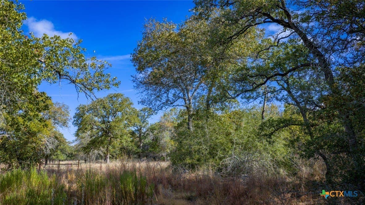 10 acres in Guadalupe County - photo 8