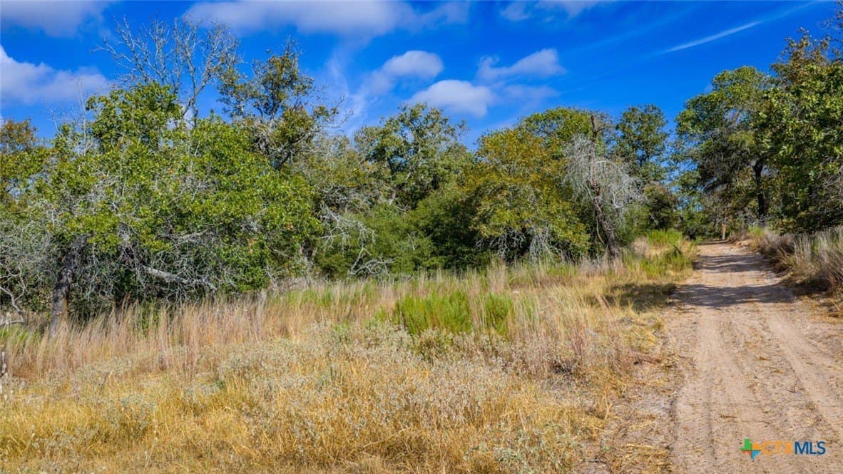 10 acres in Guadalupe County - photo 11