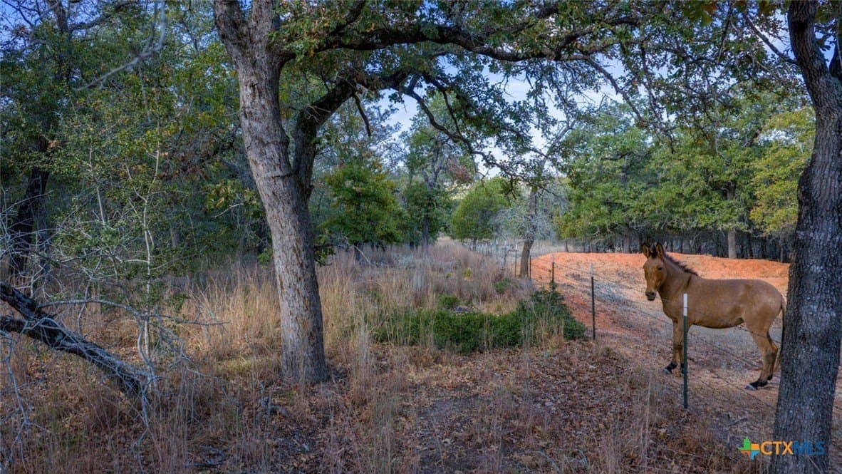 10 acres in Guadalupe County - photo 5