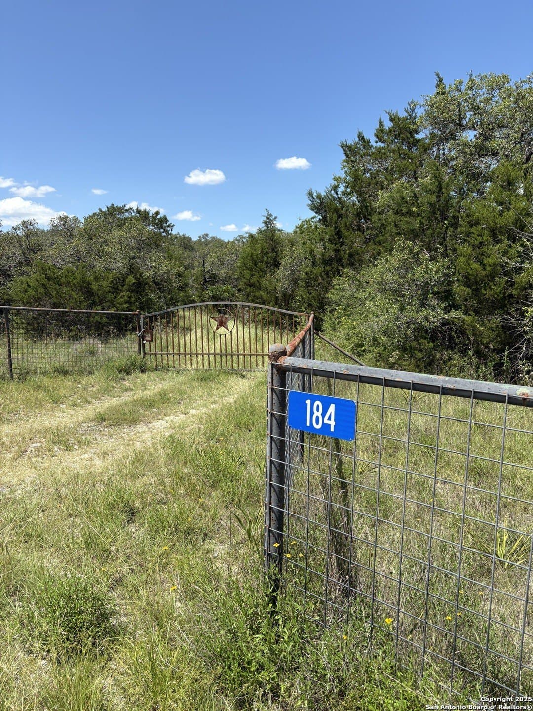 9.73 acres in Blanco County - photo 4