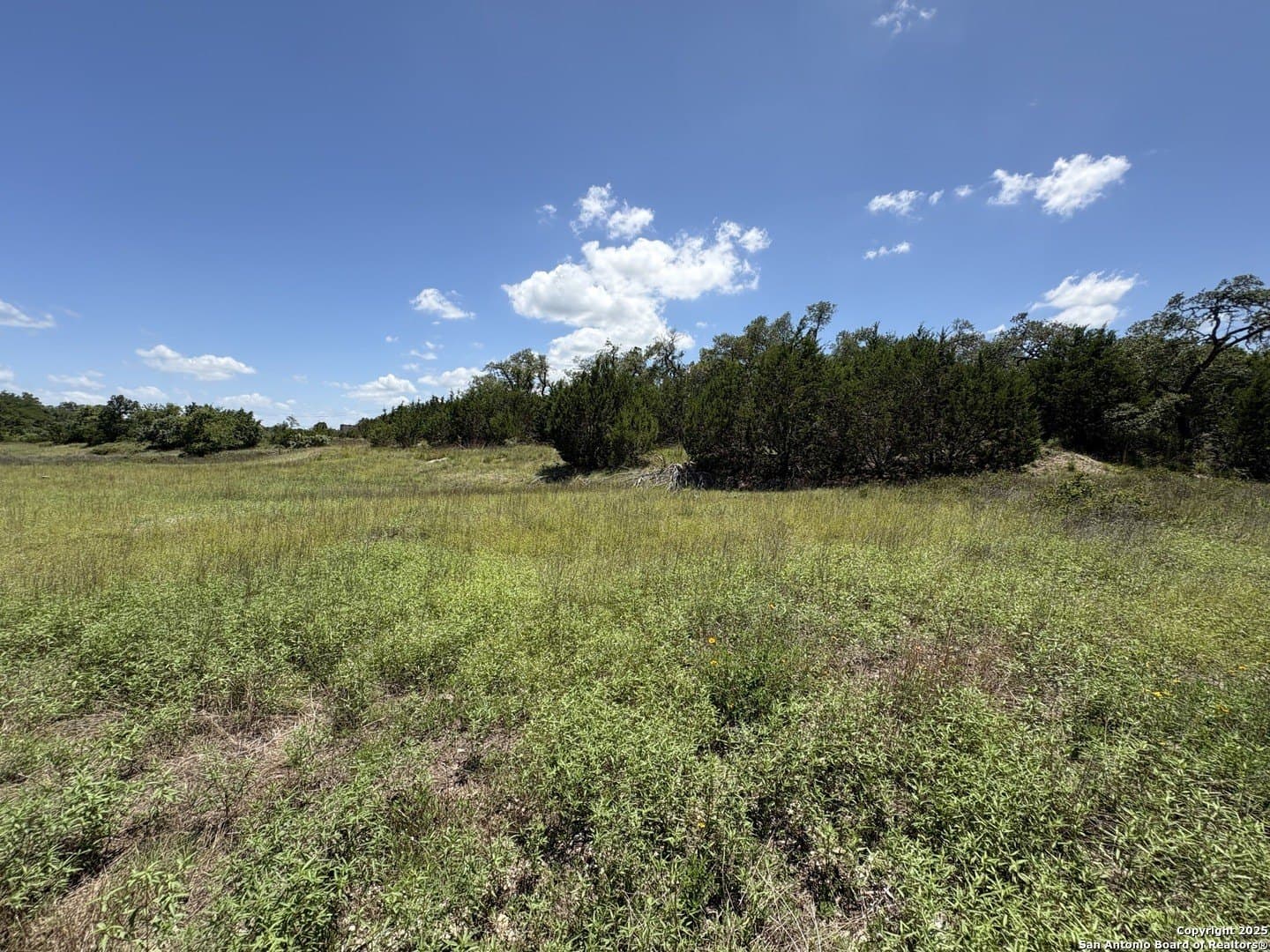 9.73 acres in Blanco County - photo 9