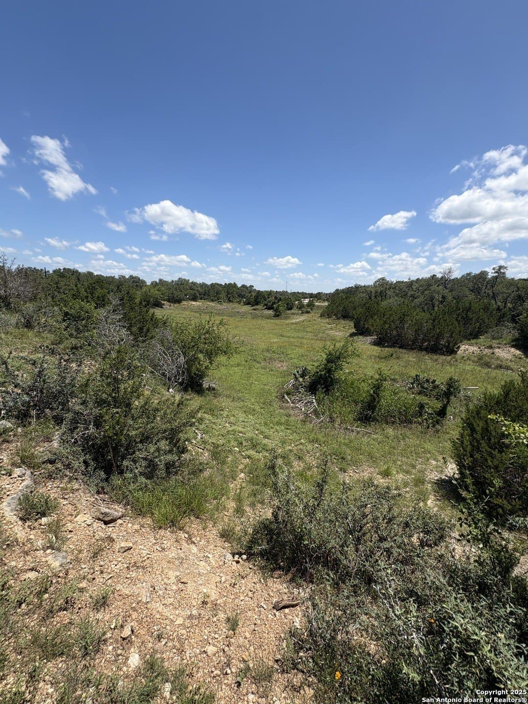 9.73 acres in Blanco County - photo 5