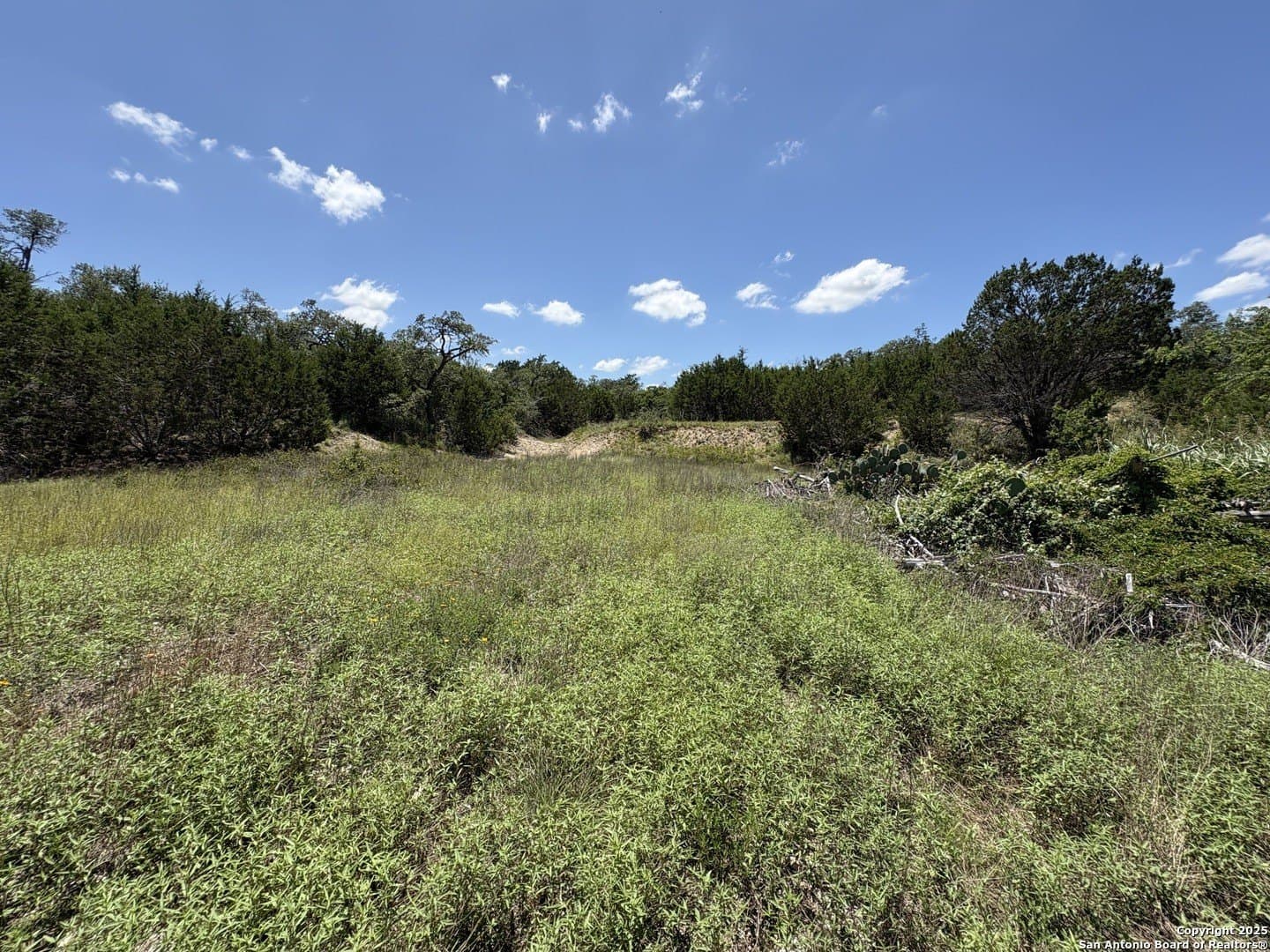 9.73 acres in Blanco County - photo 8