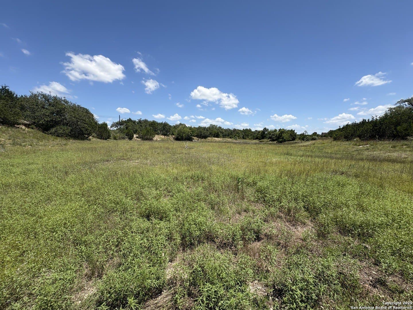 9.73 acres in Blanco County - photo 7