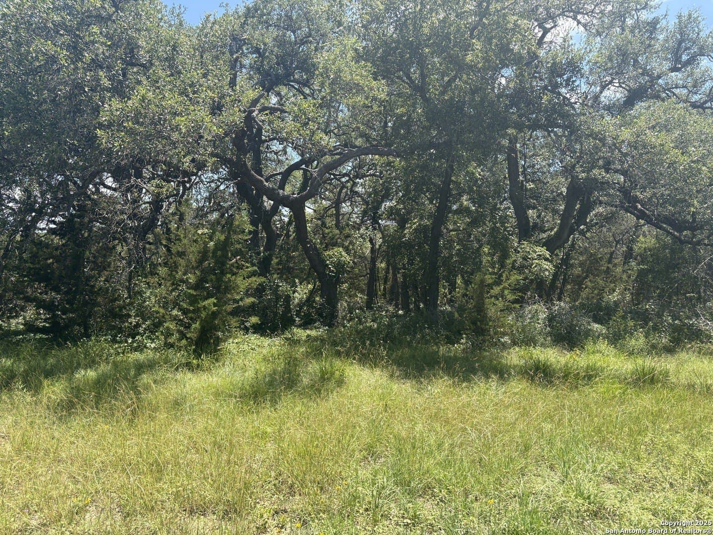 9.73 acres in Blanco County - photo 10