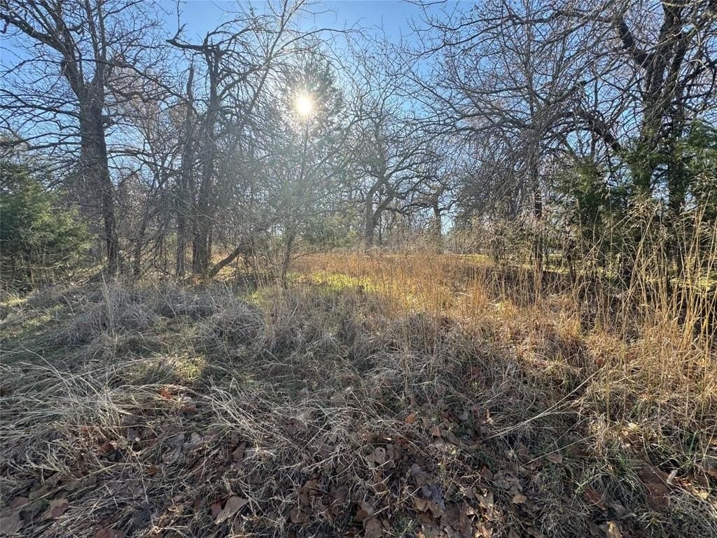 0.5 acres in Navarro County - photo 7