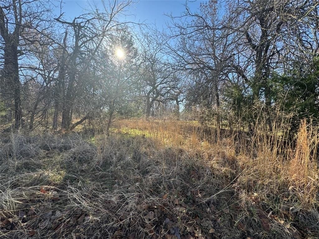 0.5 acres in Navarro County - photo 6