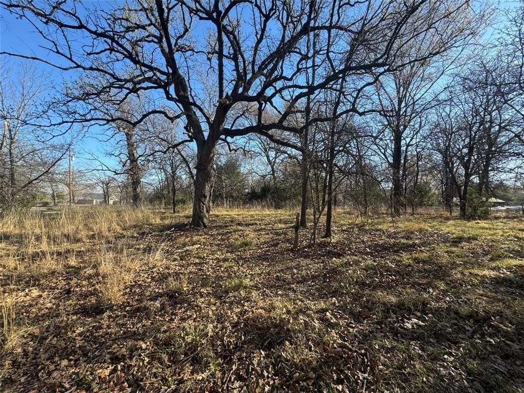0.5 acres in Navarro County - photo 2