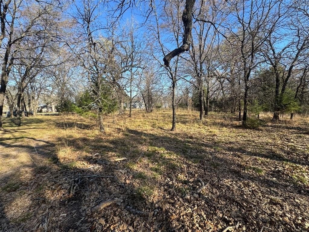 0.5 acres in Navarro County - photo 4