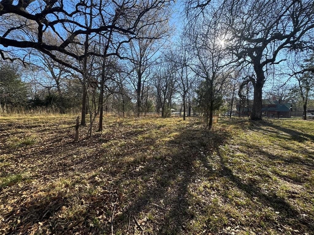 0.5 acres in Navarro County - photo 3