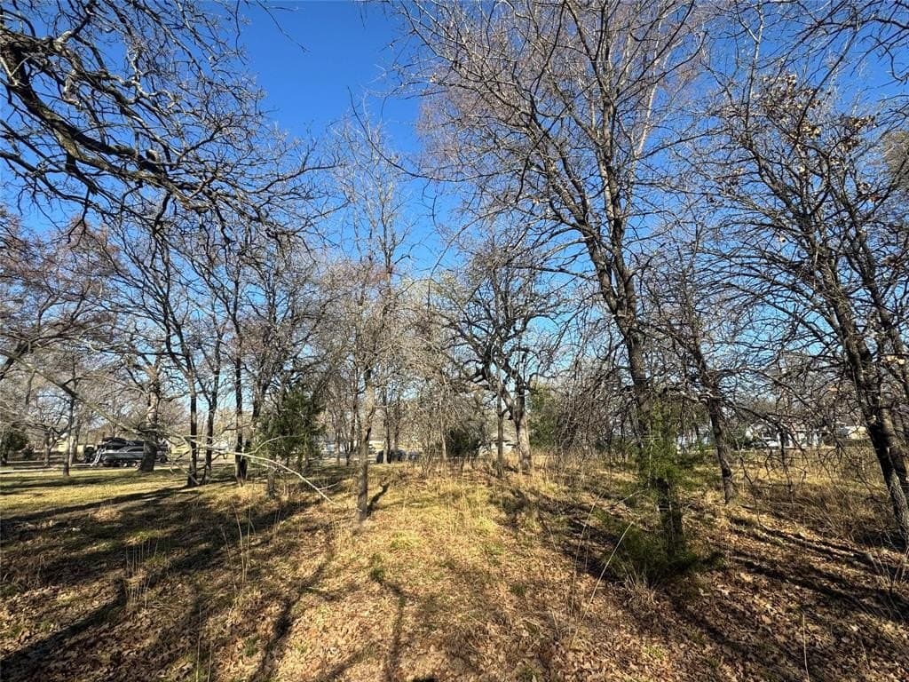 0.5 acres in Navarro County - photo 5