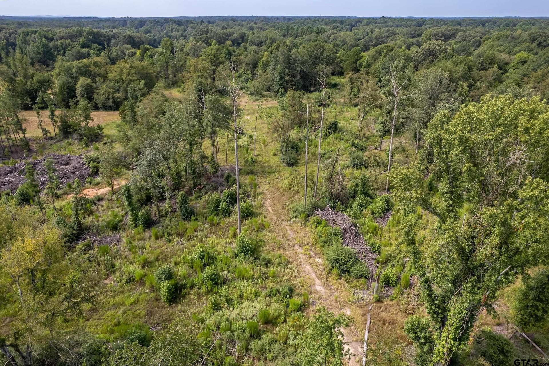 119.79 acres in Smith County - photo 40