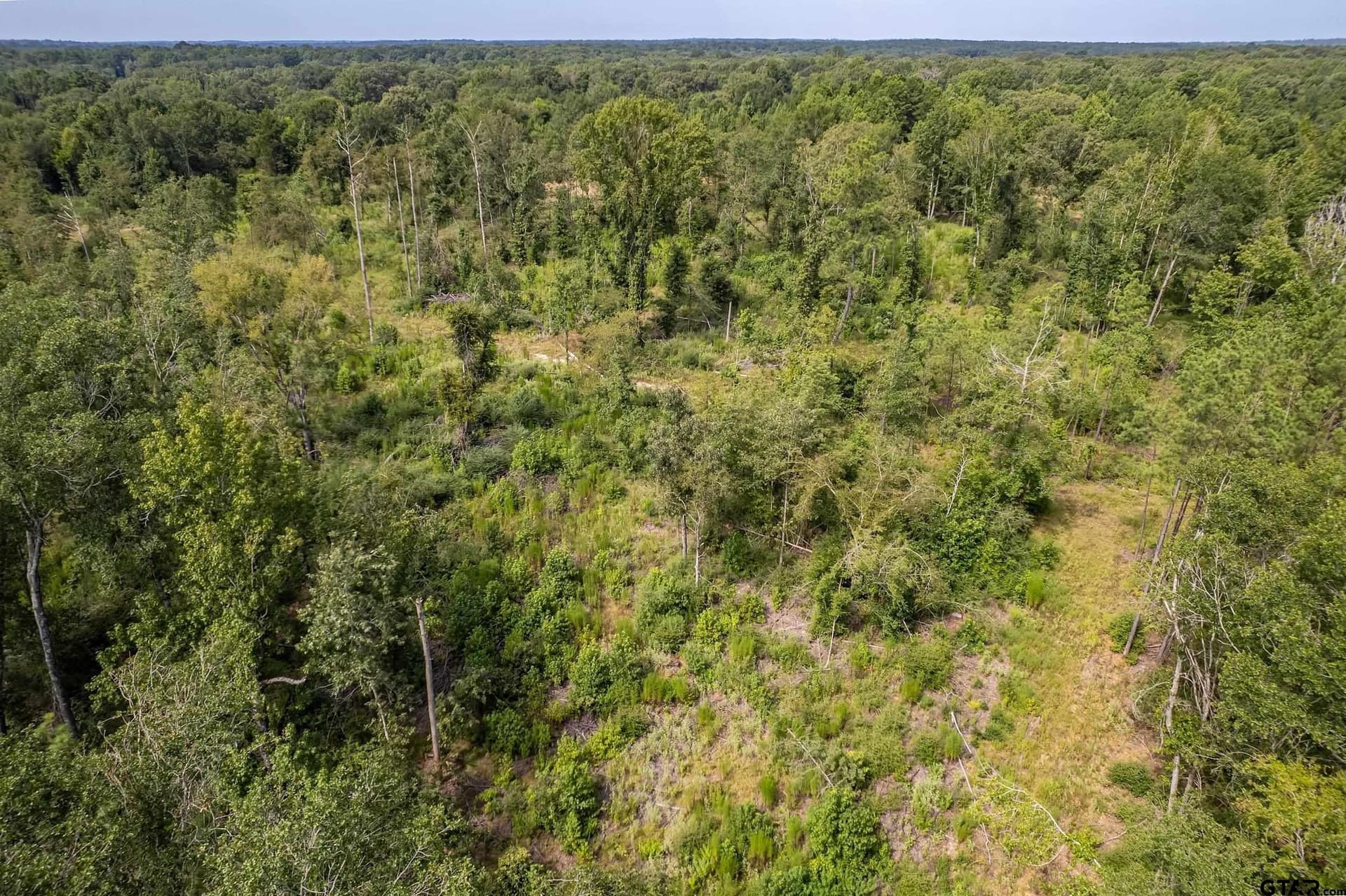 119.79 acres in Smith County - photo 38