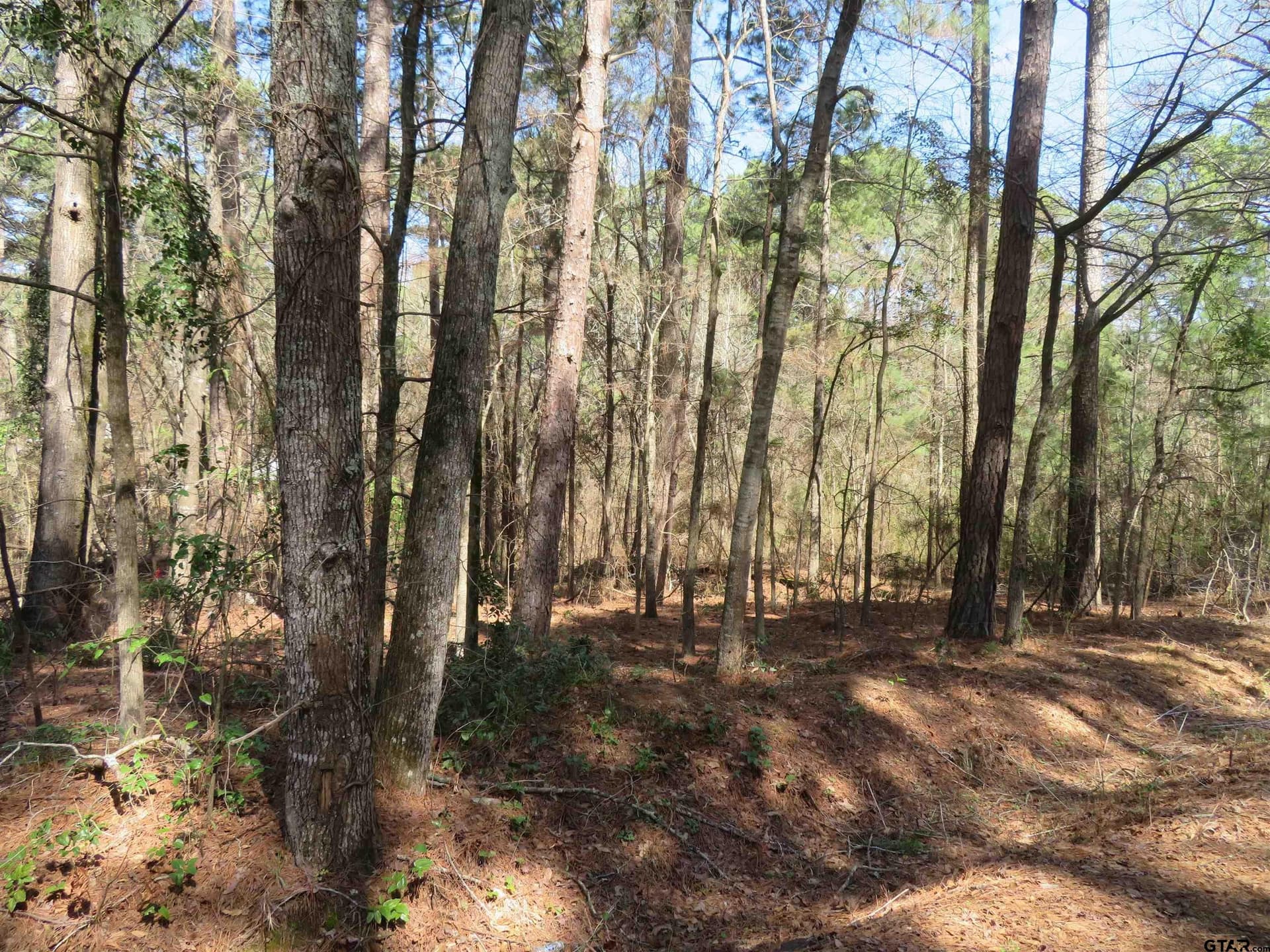0.29 acres in Smith County - photo 4