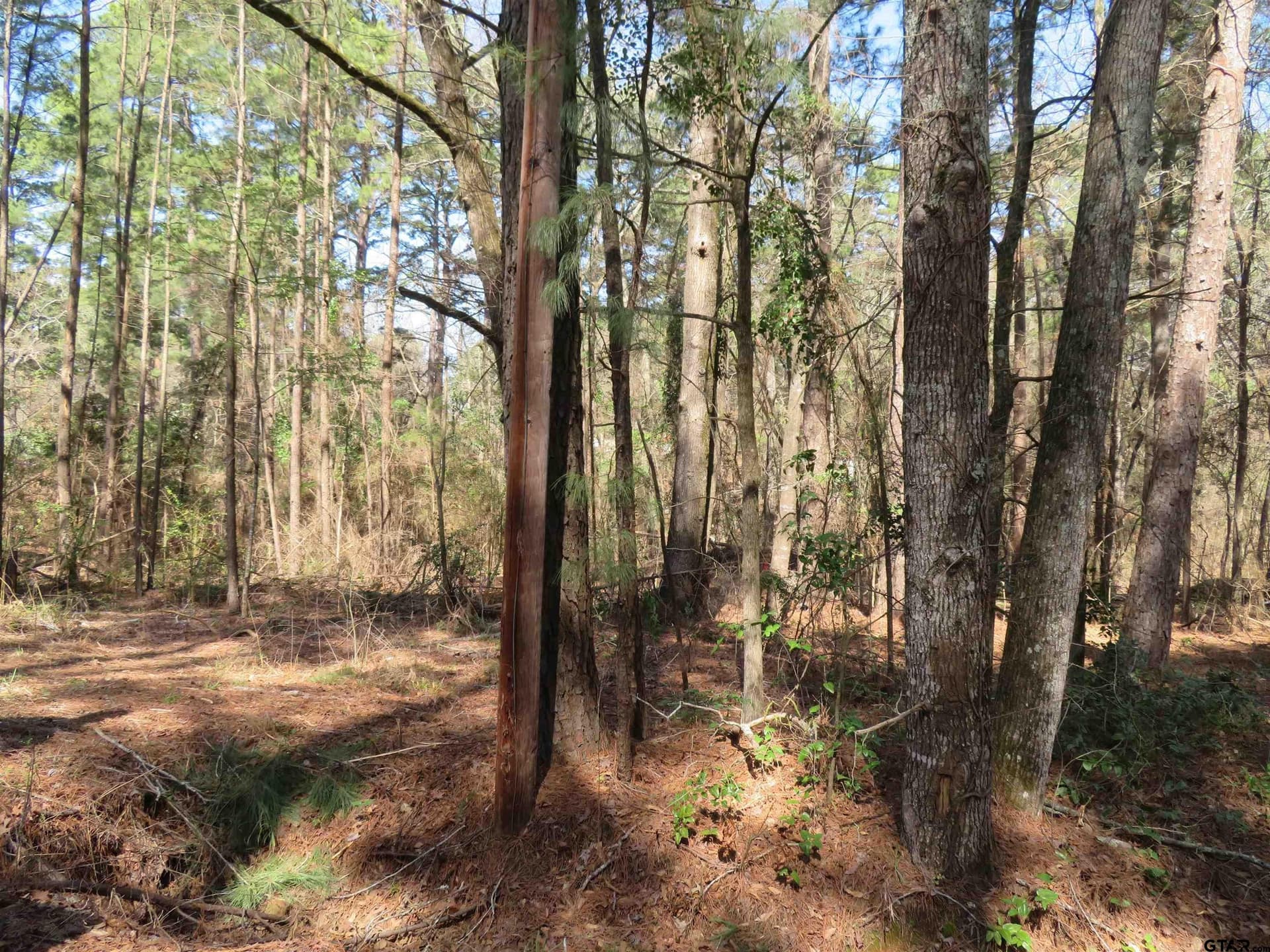 0.29 acres in Smith County - photo 5