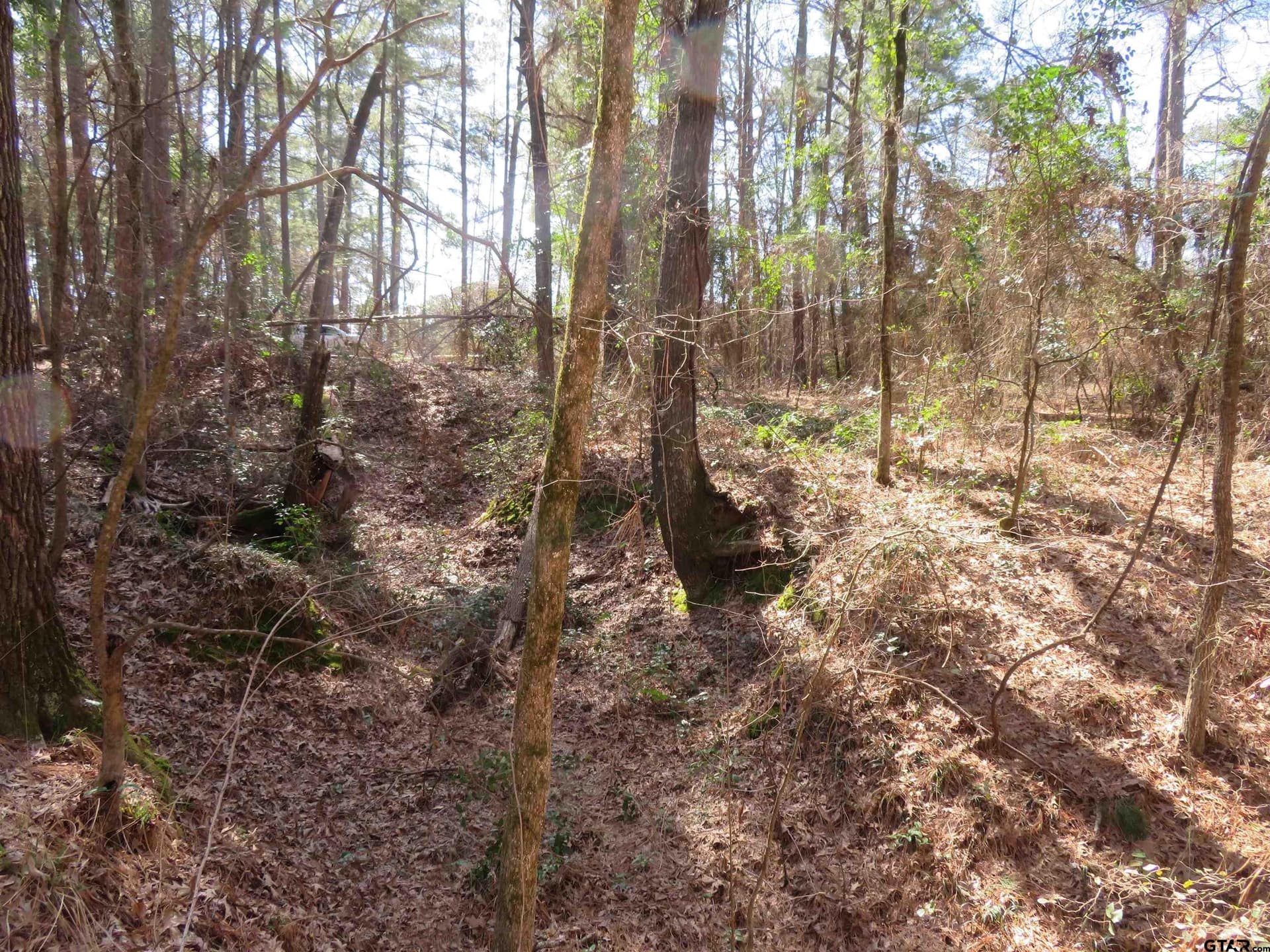 0.29 acres in Smith County - photo 2