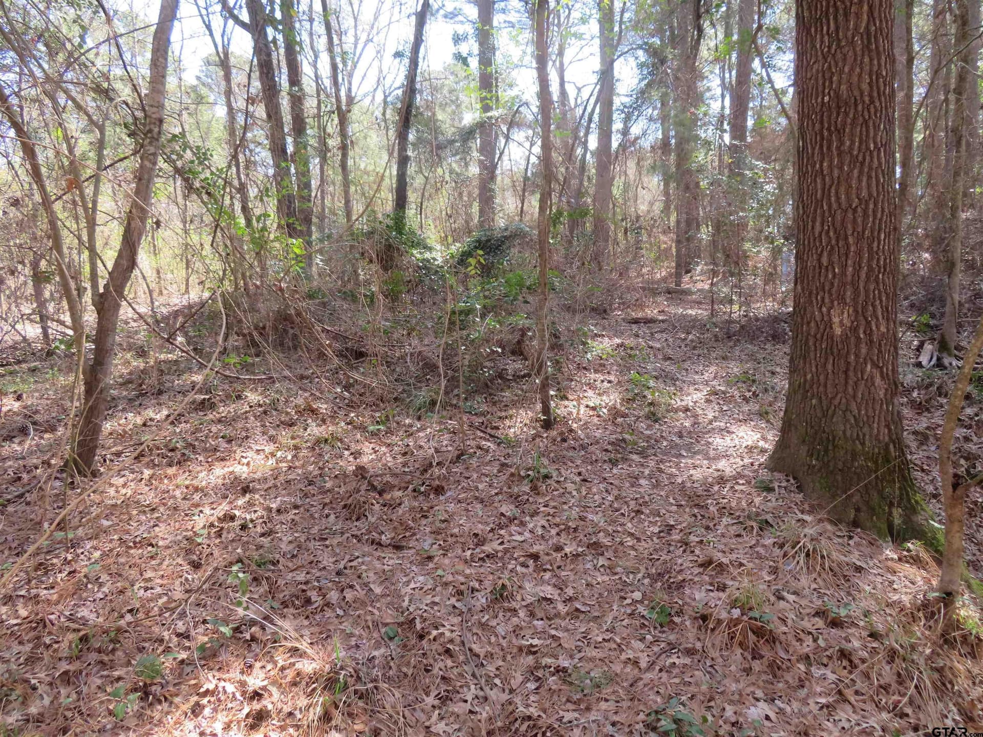 0.29 acres in Smith County - photo 3