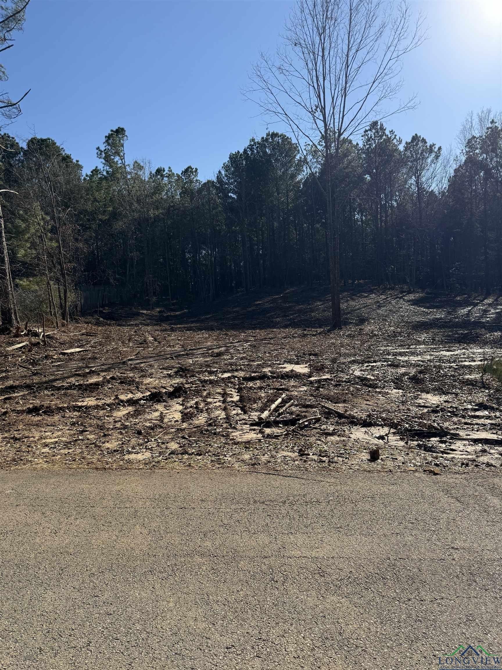 0.75 acres in Texas County - photo 9