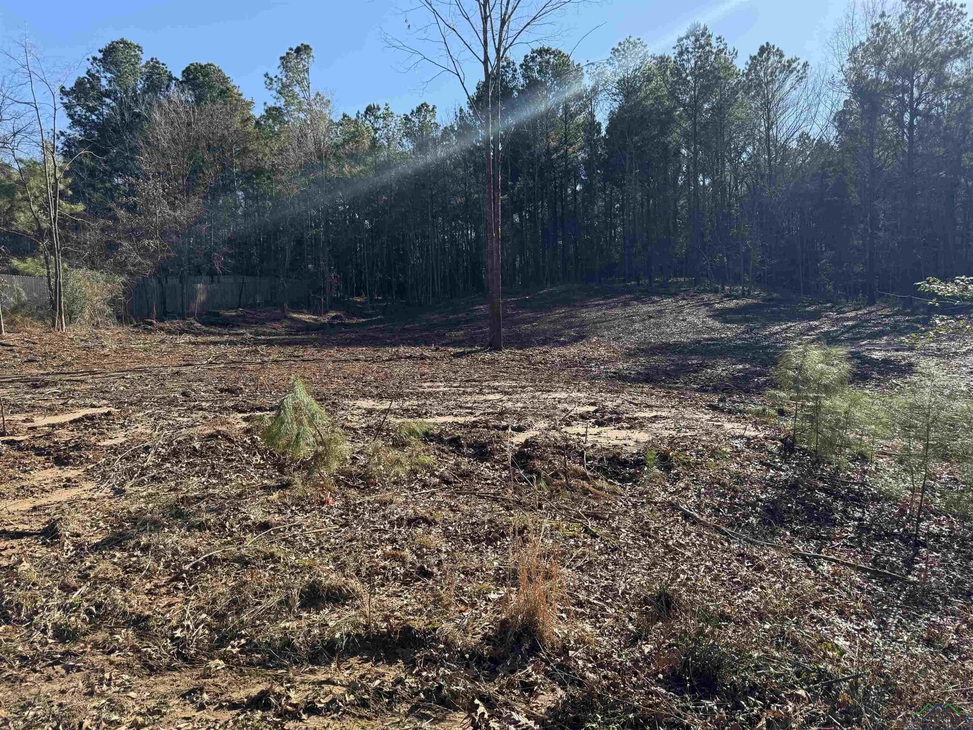 0.75 acres in Texas County - photo 4