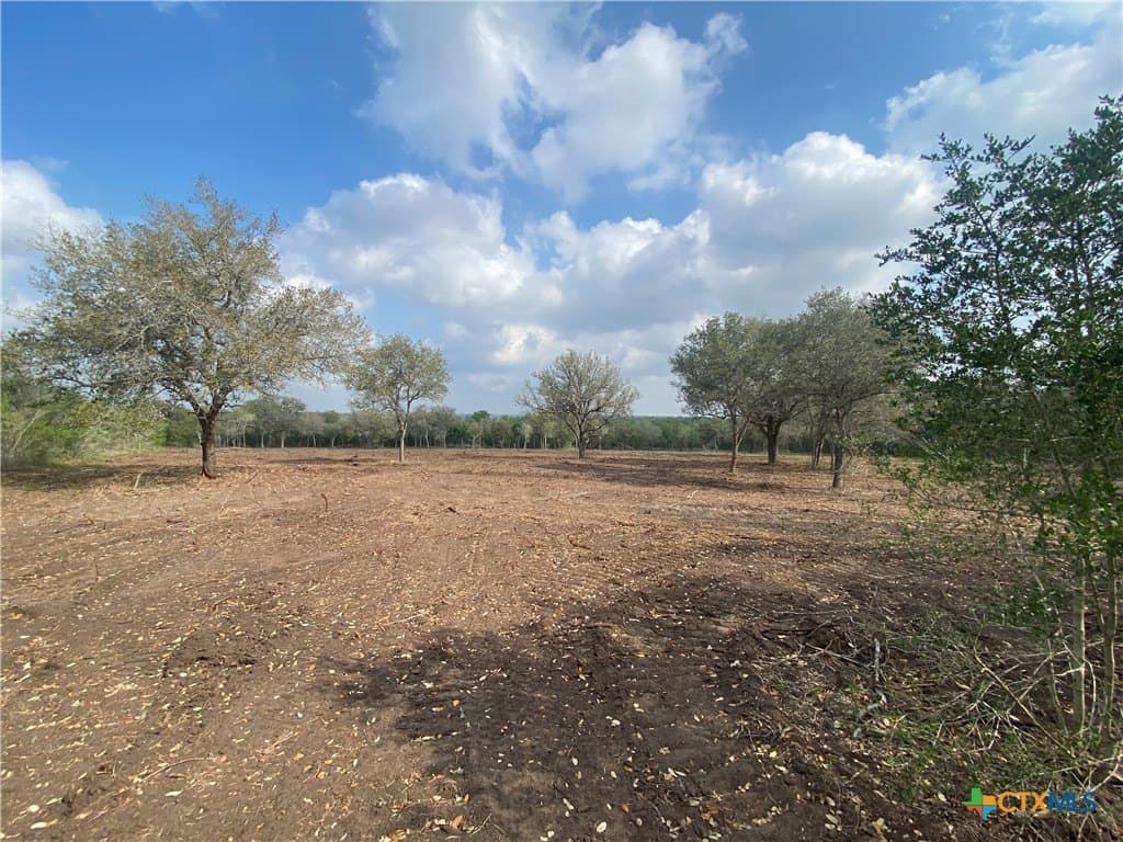 7.73 acres in Goliad County - photo 3