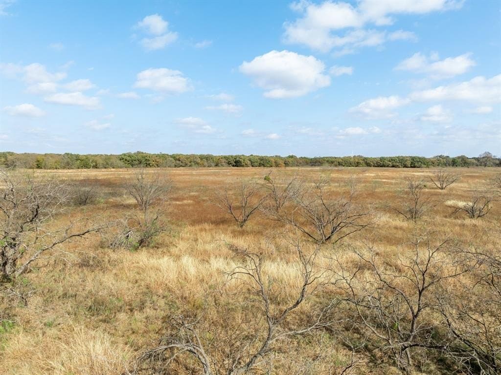10.01 acres in Hill County - photo 16