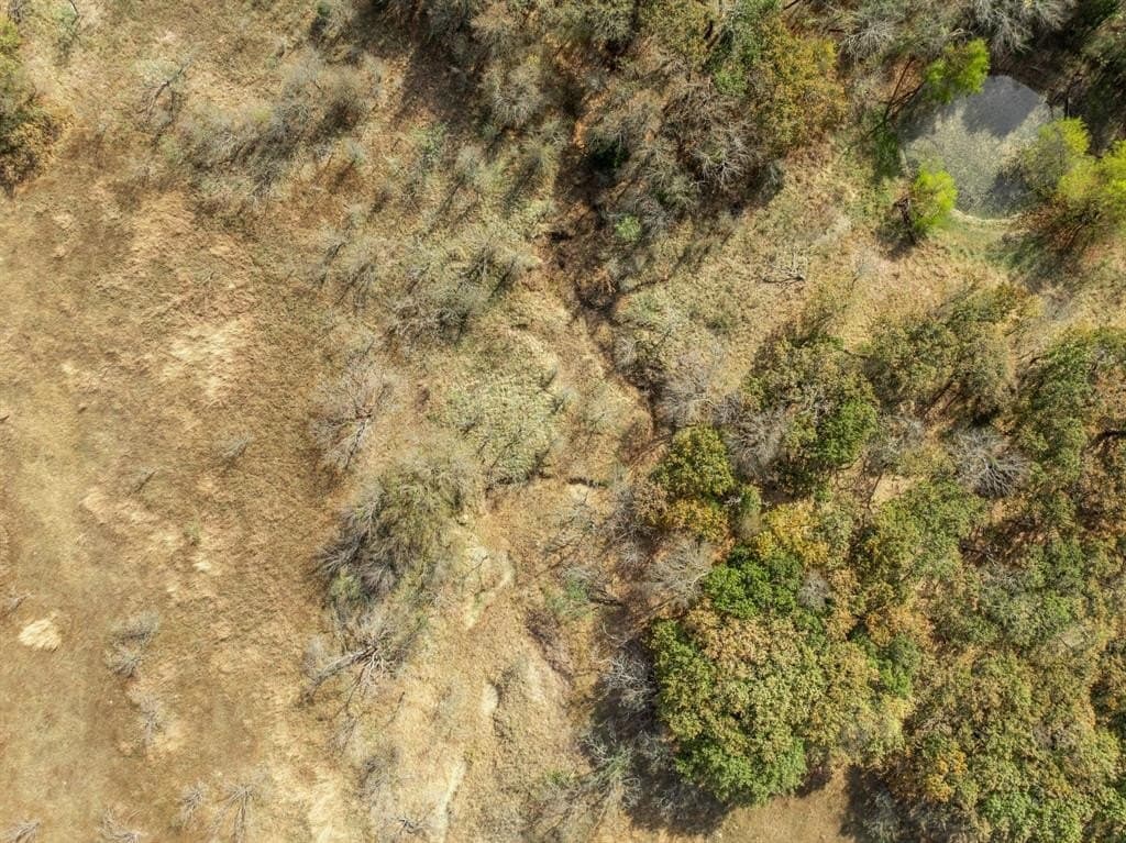 10.01 acres in Hill County - photo 6