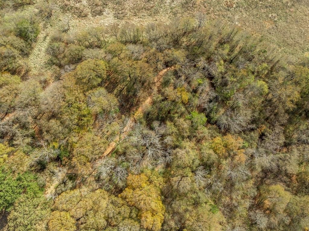 10.01 acres in Hill County - photo 7