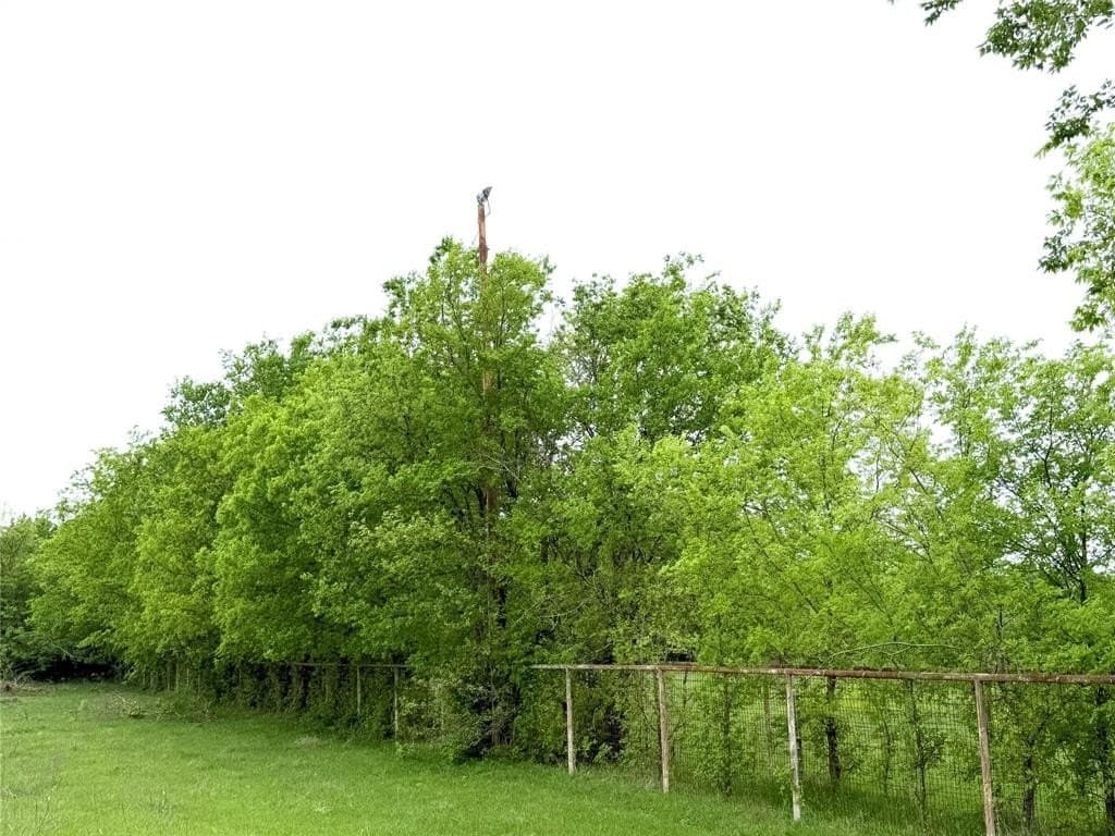 29.57 acres in Limestone County - photo 20