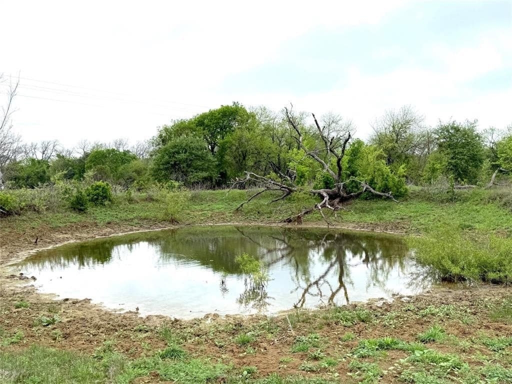 29.57 acres in Limestone County - photo 34