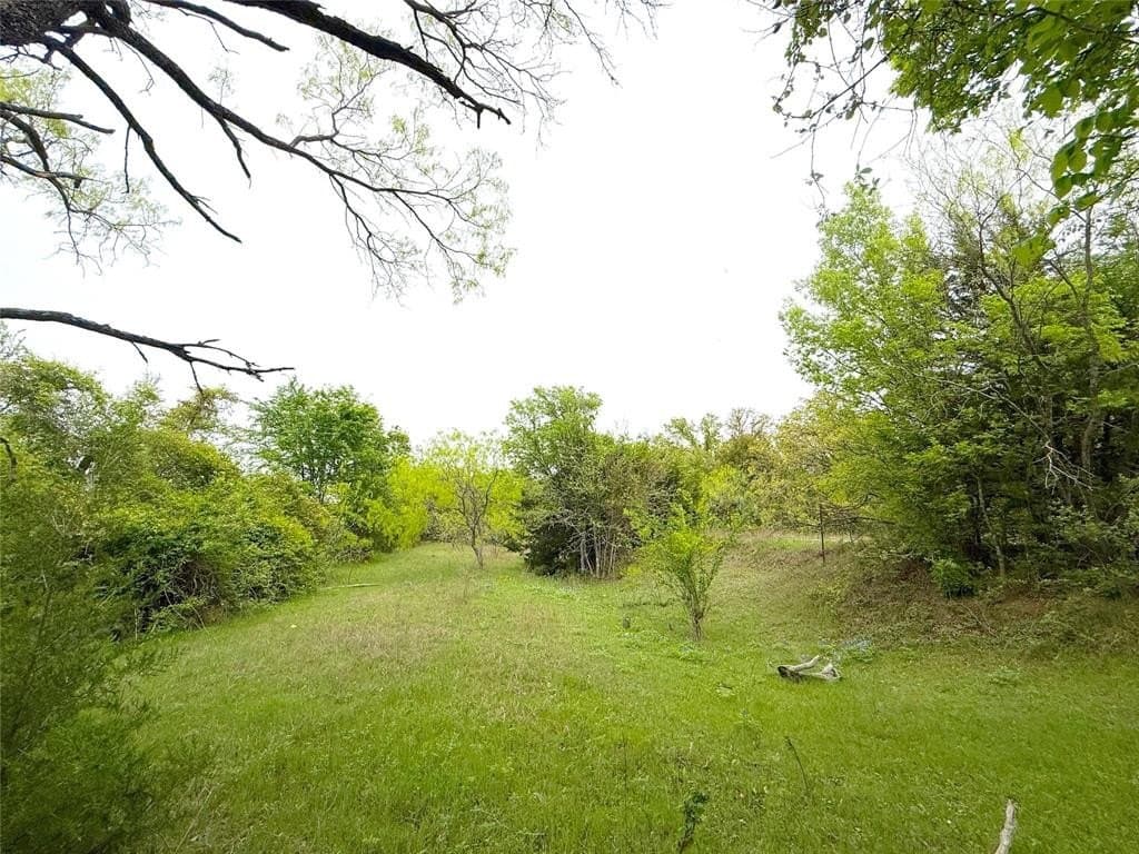 29.57 acres in Limestone County - photo 26
