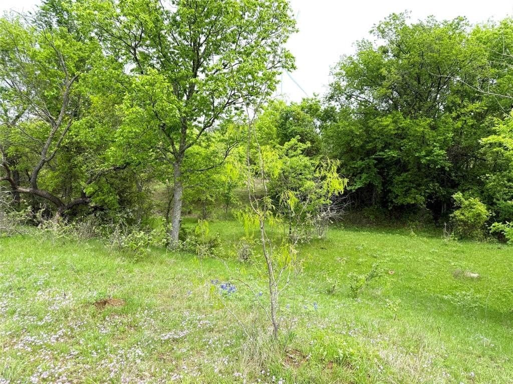 29.57 acres in Limestone County - photo 27