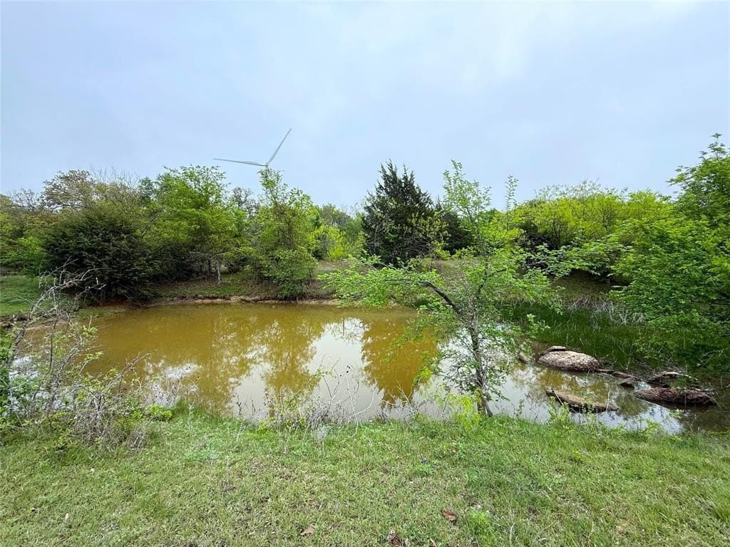 29.57 acres in Limestone County - photo 29