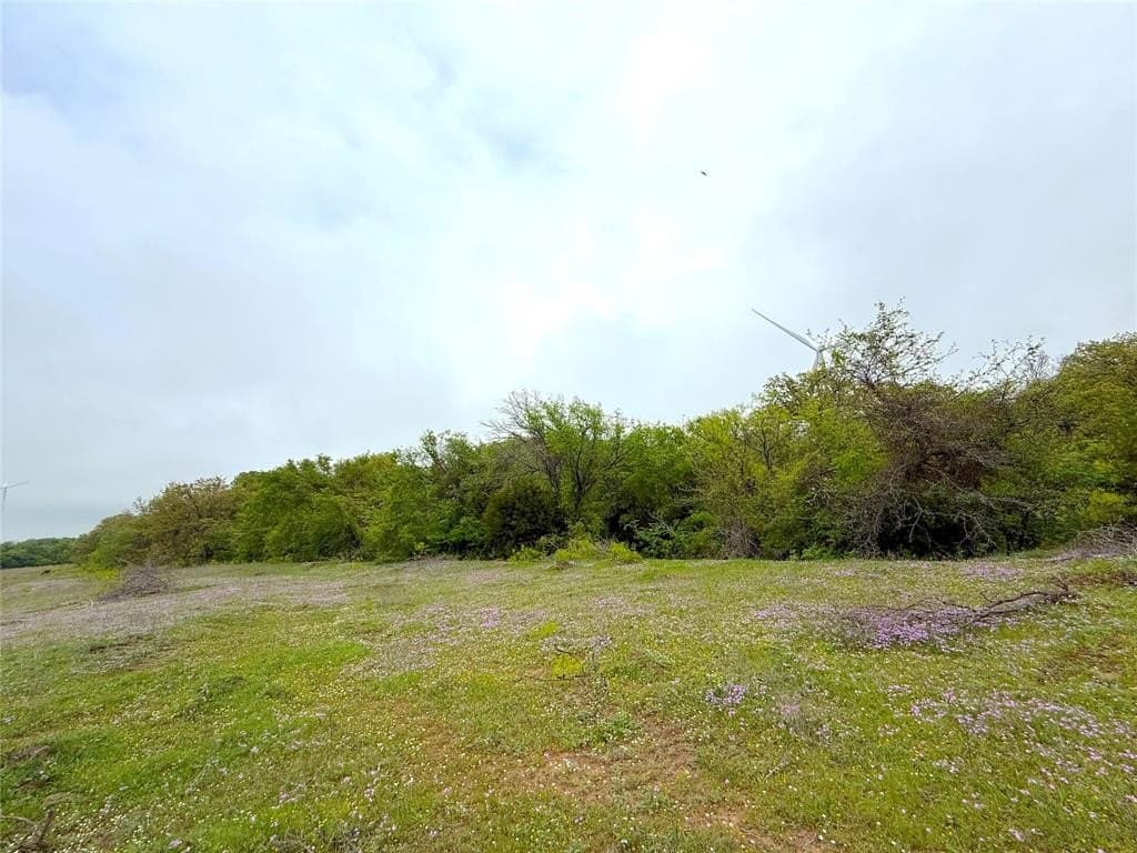 29.57 acres in Limestone County - photo 30