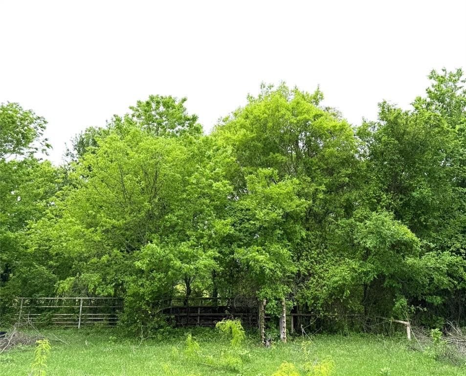 29.57 acres in Limestone County - photo 21